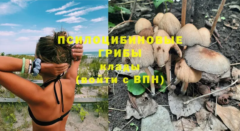 Псилоцибиновые грибы MAGIC MUSHROOMS  купить наркоту  Калтан 